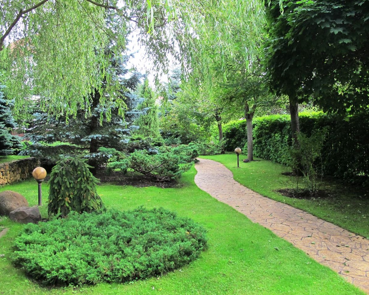 Ливадия на Истре